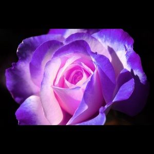 Meet your Posher, Christi